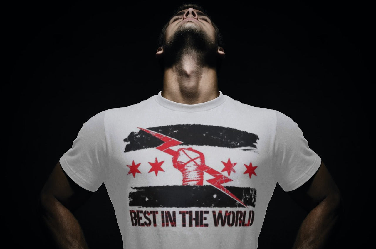 wwe White CM Punk Best In The World  (T-Shirt)