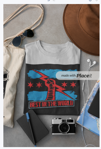 wwe White CM Punk Best In The World  (T-Shirt)