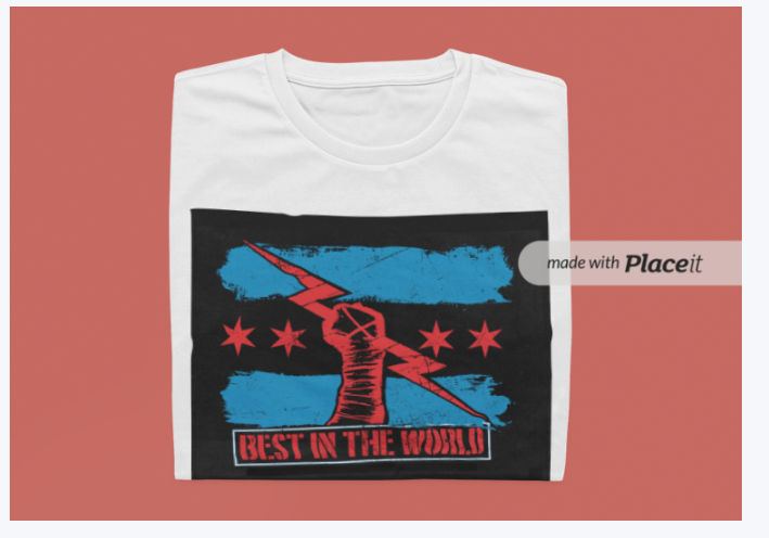 wwe White CM Punk Best In The World  (T-Shirt)
